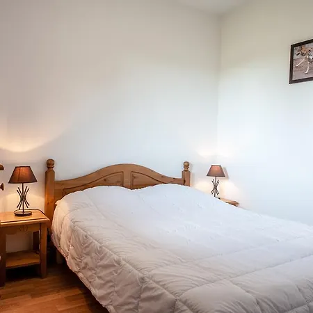 Residence Le Bois De La Reine 3* Super Besse