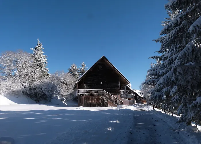 Aparthotel Residence Le Bois De La Reine