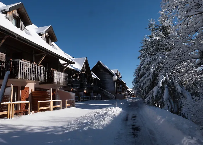 Residence Le Bois De La Reine Aparthotel Super Besse