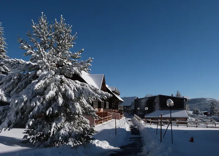 Aparthotel Residence Le Bois De La Reine 3*