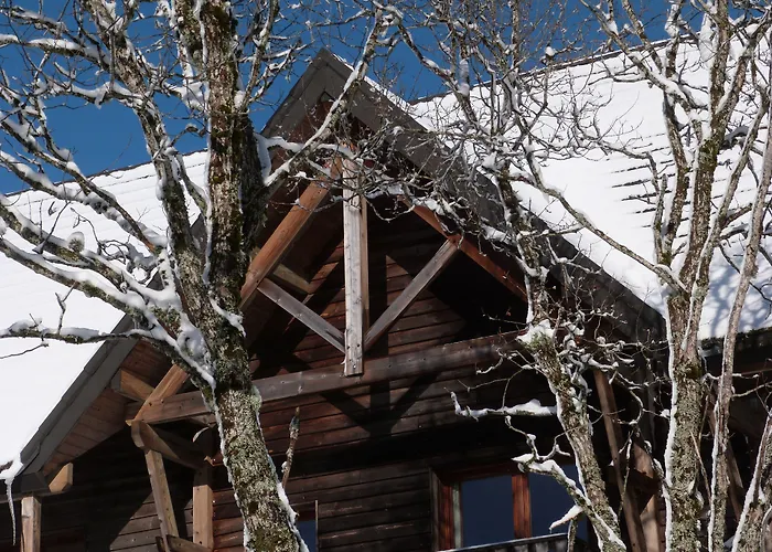 Residence Le Bois De La Reine