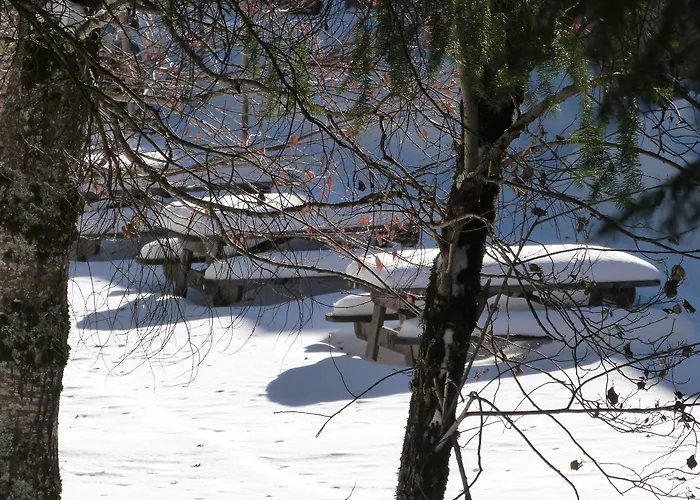 Residence Le Bois De La Reine