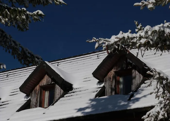 Residence Le Bois De La Reine Super Besse